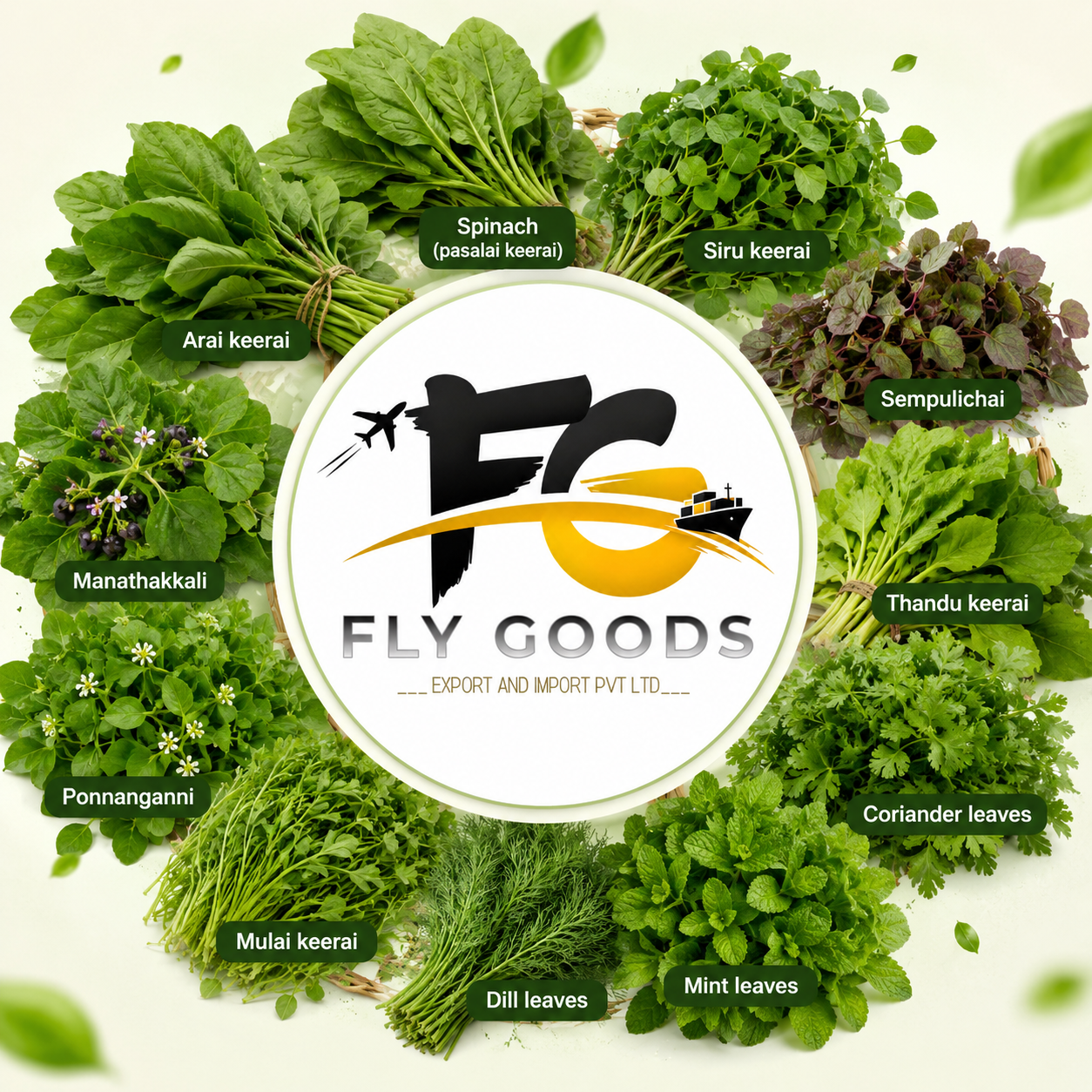 about-fly